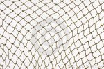 Fishing Net