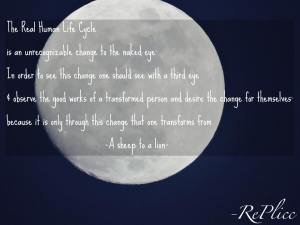 human growth and development