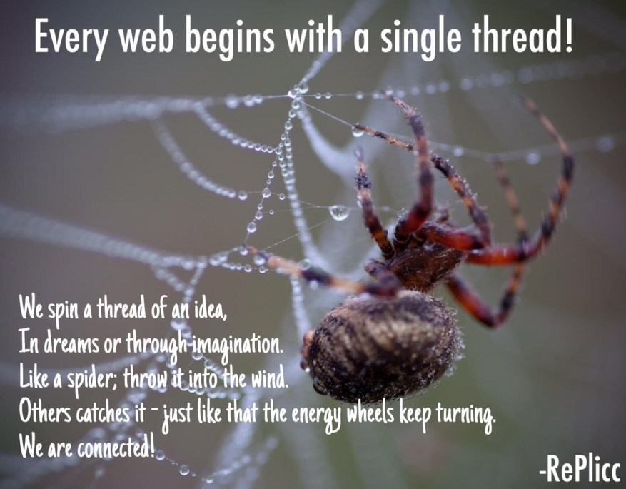 Re Plicc's Spider Web
